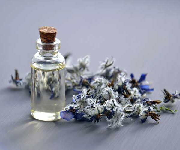 Fragrances and Essential Oils