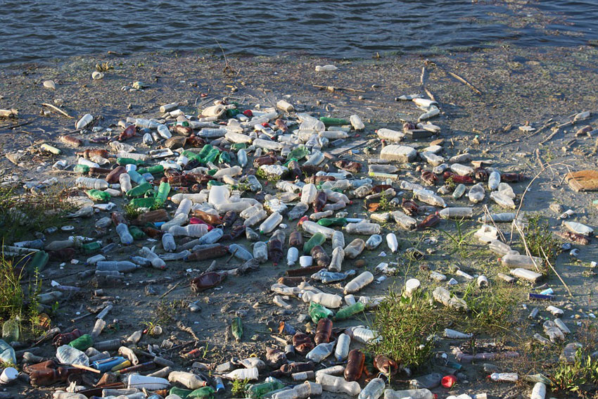 Bottle litter washed up on shore of lake